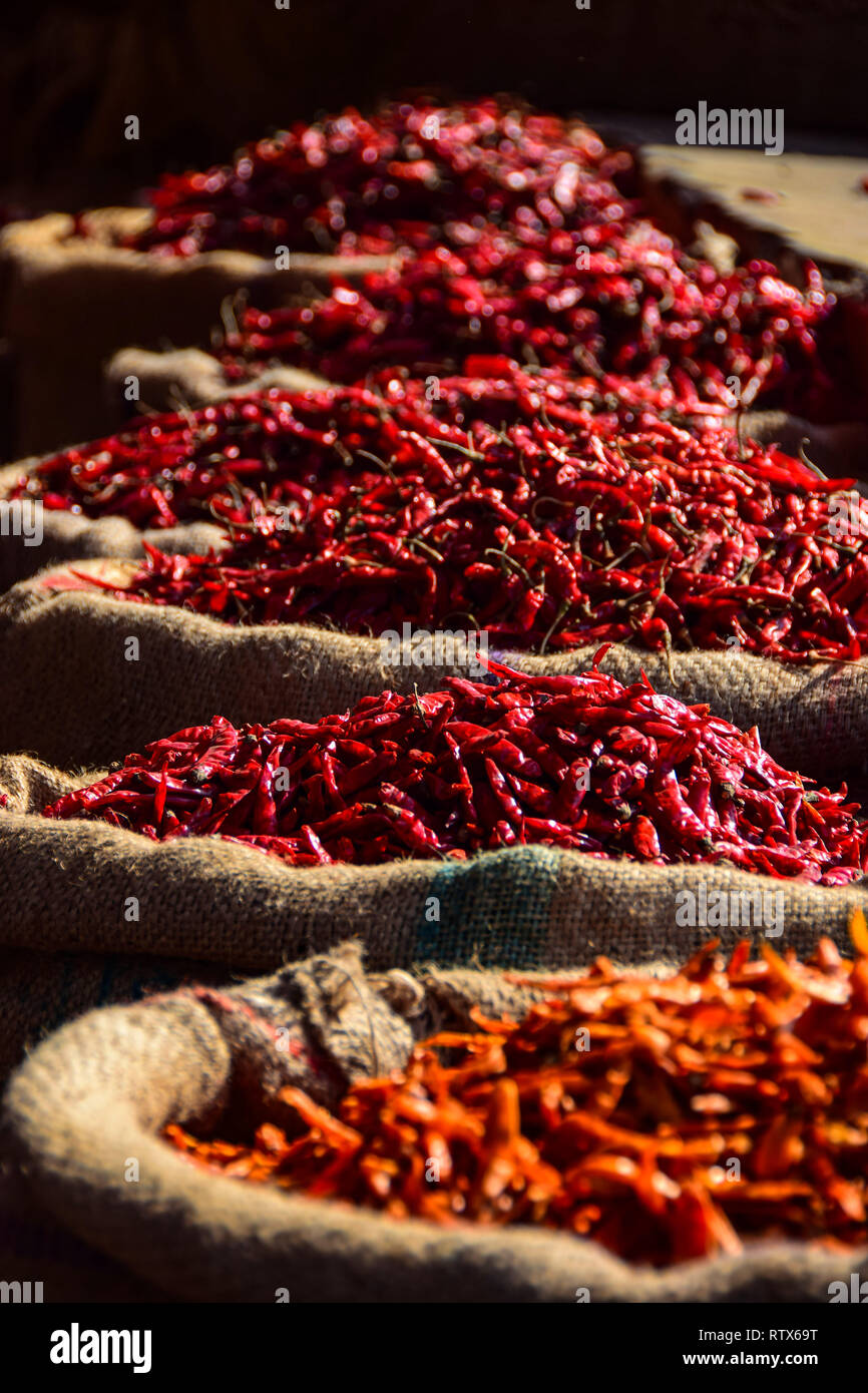 Peperoncini rossi in sacchi, Khari Baoli, vivace commercio all'ingrosso Indian Spice Market, Vecchia Delhi, India Foto Stock