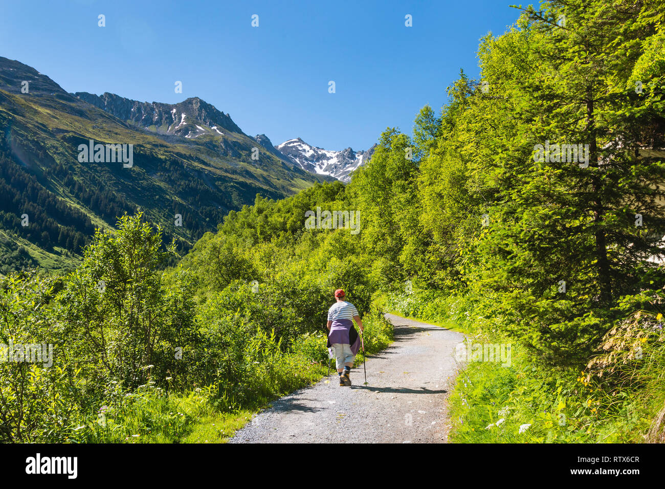 Una femmina senior escursionista escursionismo attraverso il verde di Jamtal in estate nei pressi del Rifugio Jamtal nella Valle di Paznaun nei pressi di Galtur in Austria. Foto Stock