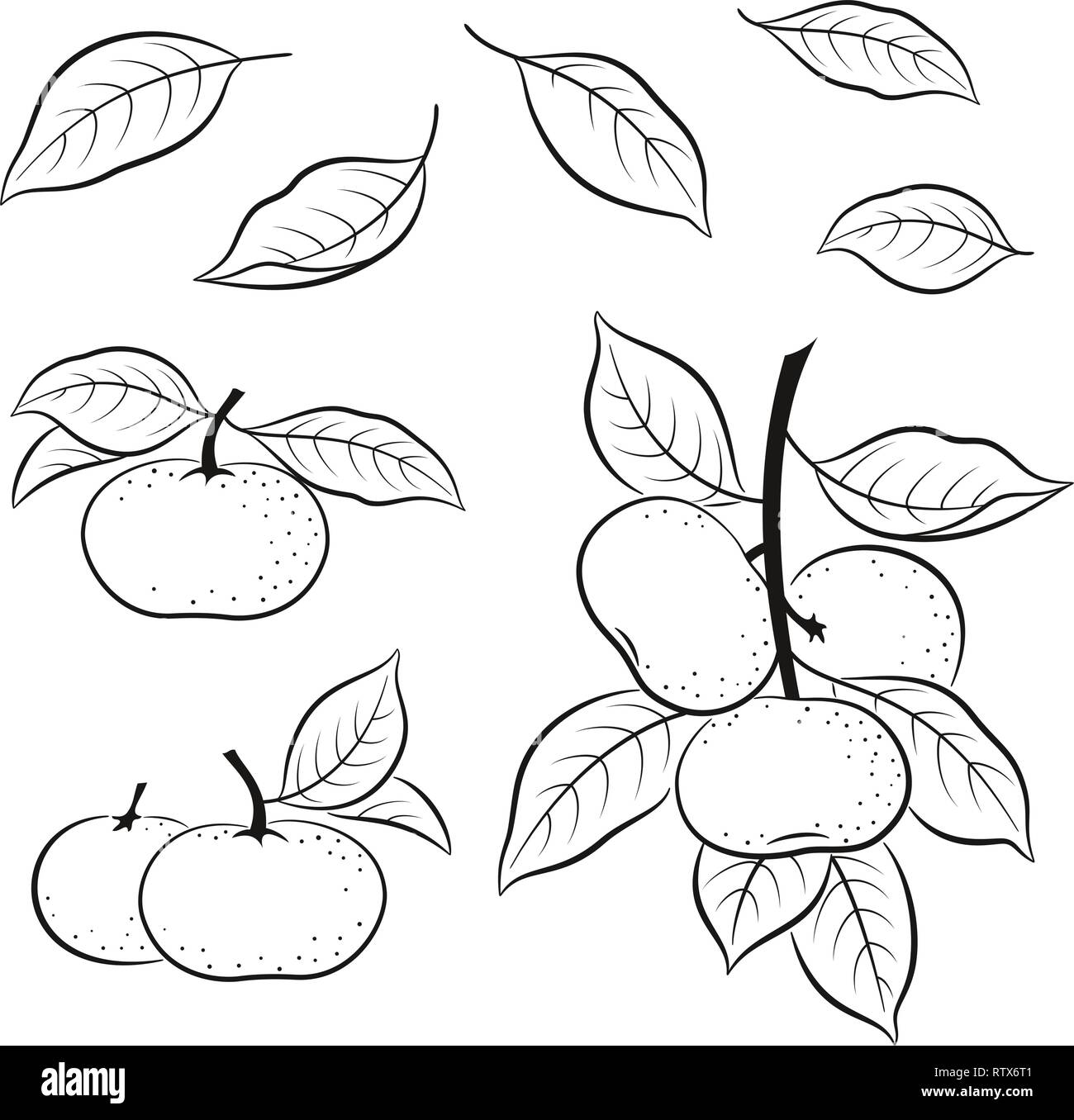 Set di Tangerini pittogrammi Illustrazione Vettoriale