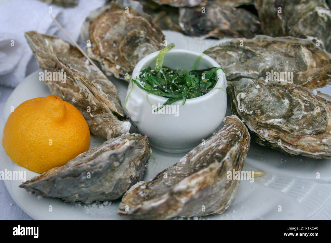 Gruppo chiuso di ostriche con il limone ed erba di mare in una piastra Foto Stock