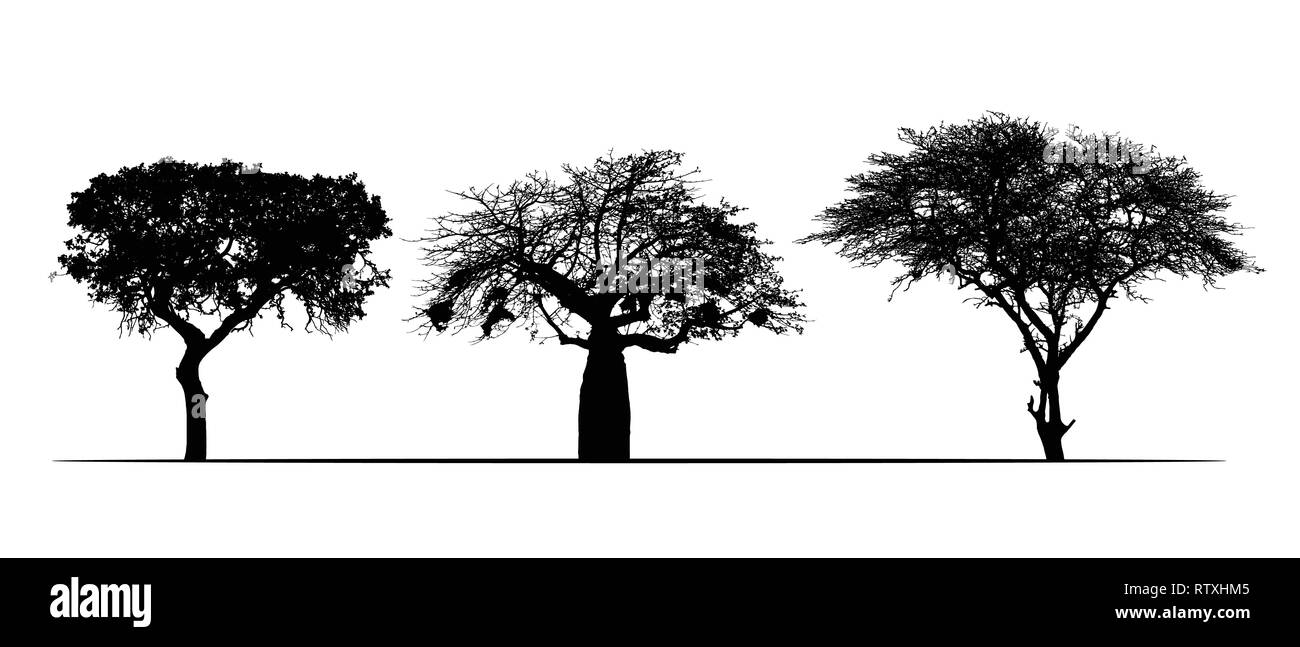 Set di sagome realistiche di safari Africano, alberi di acacia e baobab. Isolato su sfondo bianco - vettore Illustrazione Vettoriale
