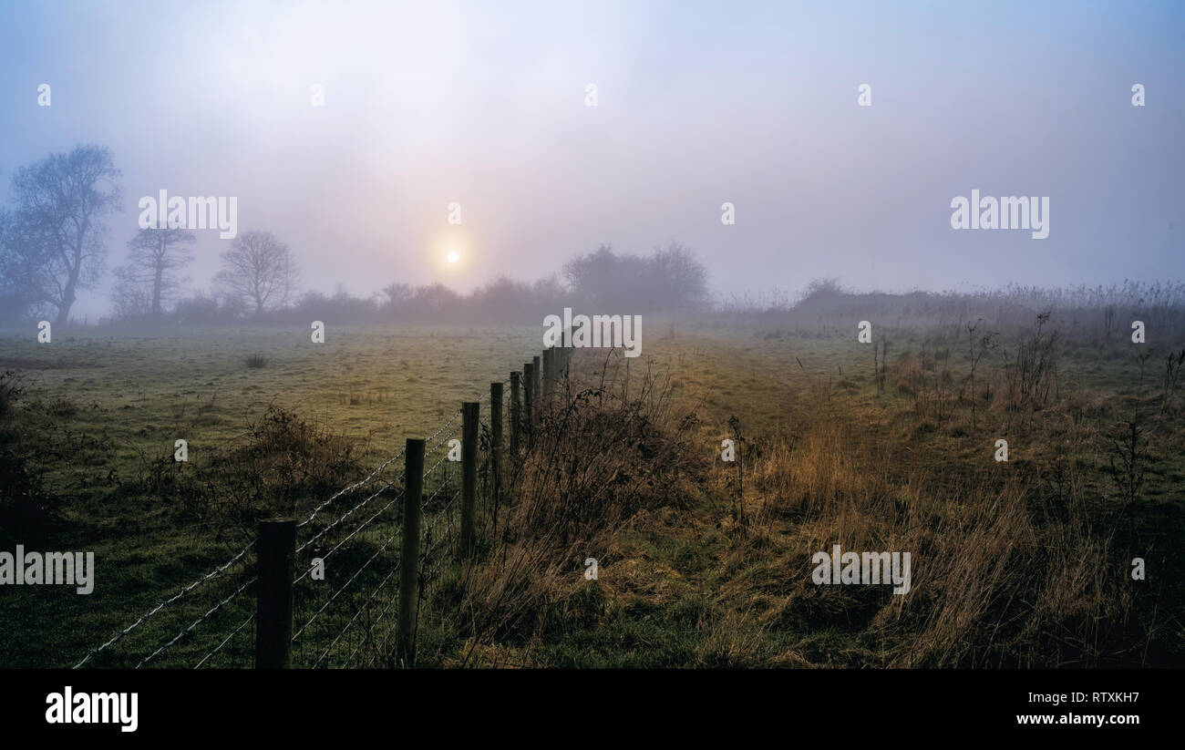 La mattina presto Misty Sunrise lungo il fiume Wyre Foto Stock