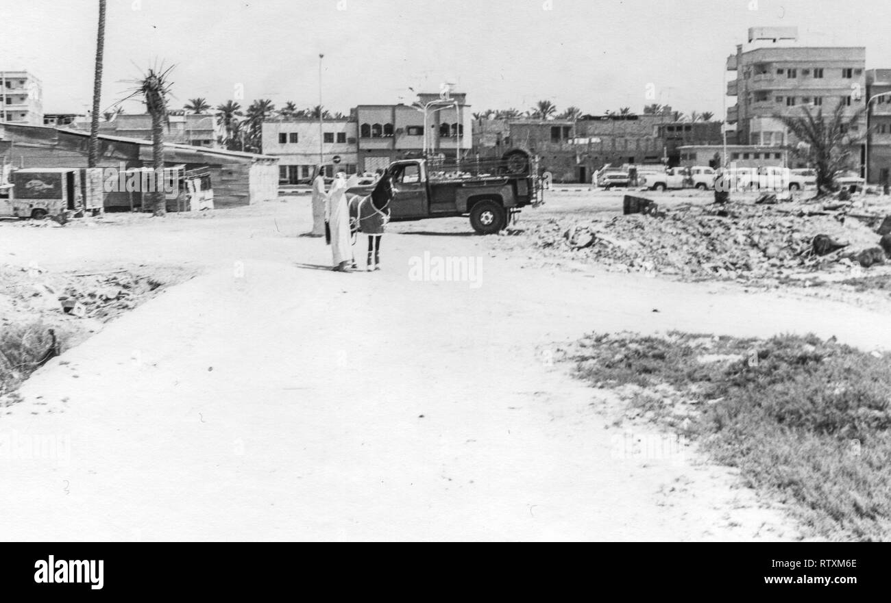 Acquisto e trasporto di un castagno scuro stallone arabo da Al-Qatif / Qatif, Provincia Orientale, Arabia Saudita di Abqaiq, un Aramco composto nel 1983. Foto Stock