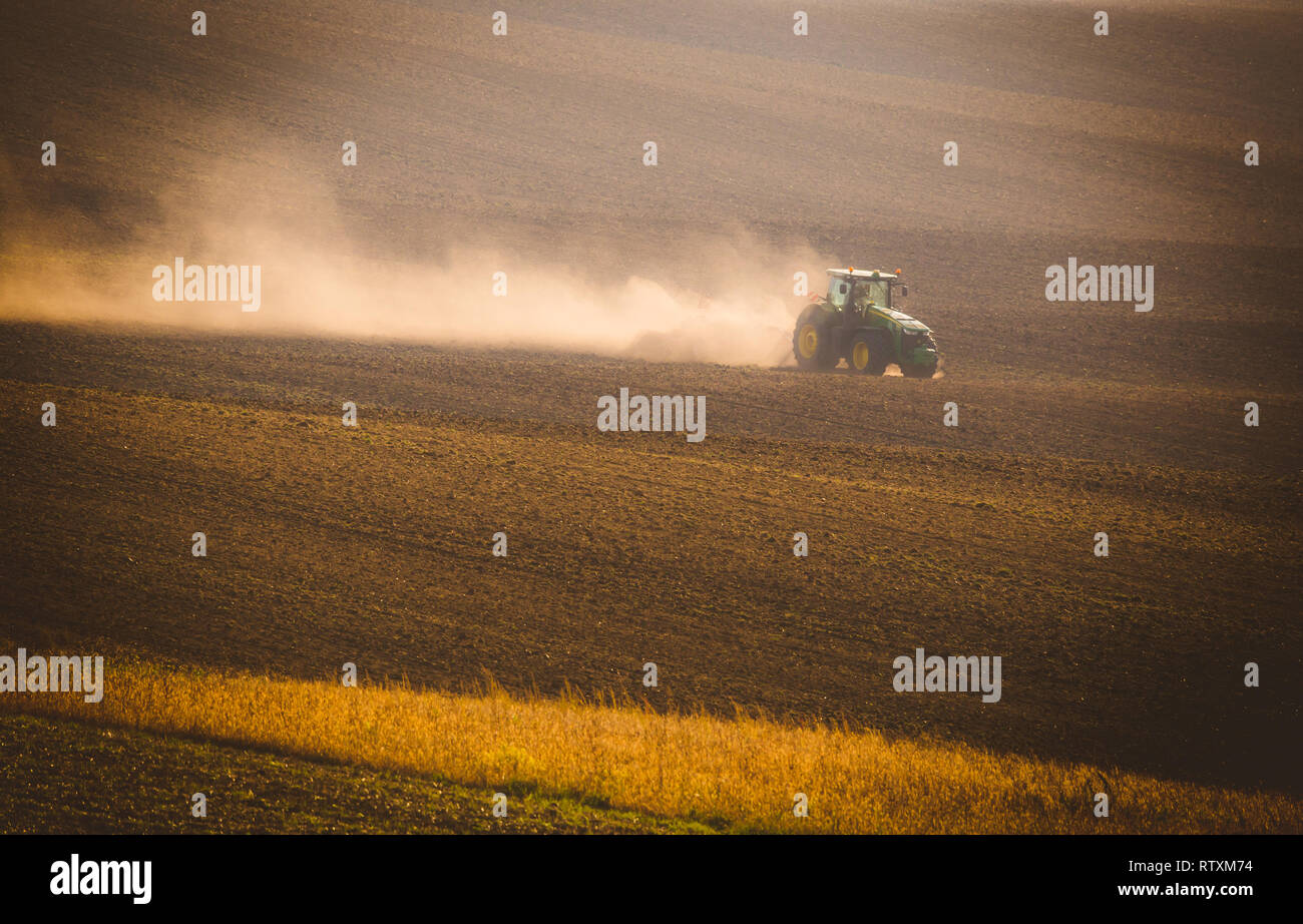 Il trattore durante l'autunno il lavoro nei campi della Moravia del sud al tramonto Foto Stock
