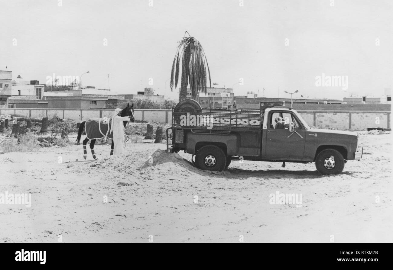 Acquisto e trasporto di un castagno scuro stallone arabo da Al-Qatif / Qatif, Provincia Orientale, Arabia Saudita di Abqaiq, un Aramco composto nel 1983. Foto Stock