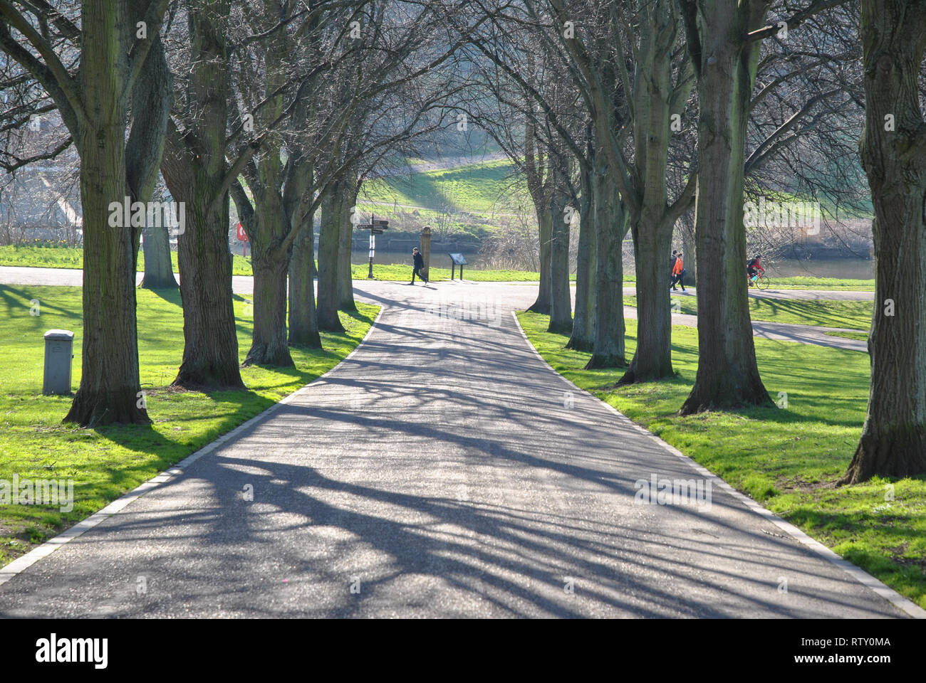 Una zumata fotografia di un viale di alberi nel parco di cava a Shrewsbury che mostra la gente camminare lungo il percorso Foto Stock