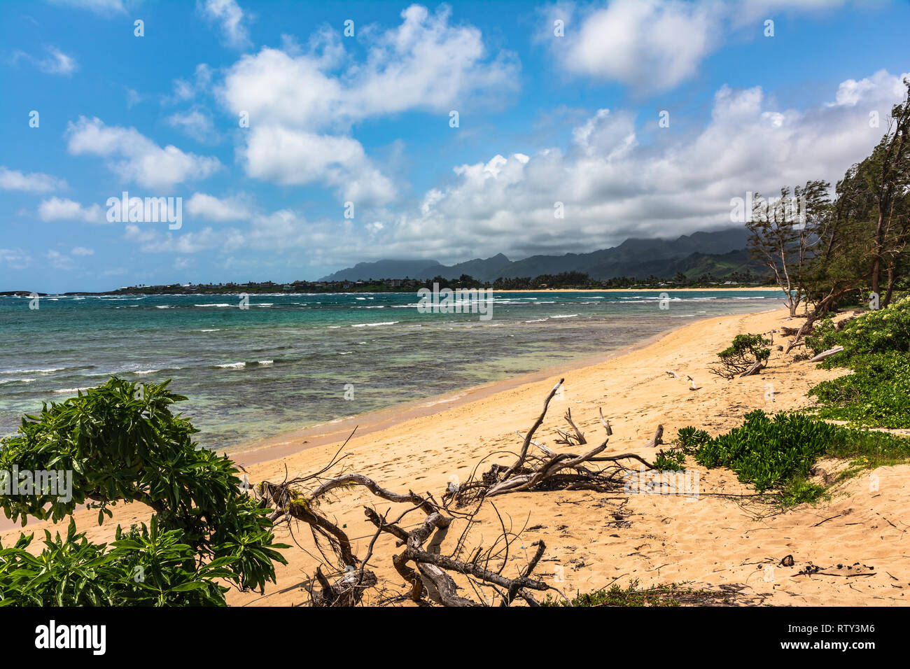La costa lungo la spiaggia Malaekahana, North Shore Oahu, Hawaii Foto Stock