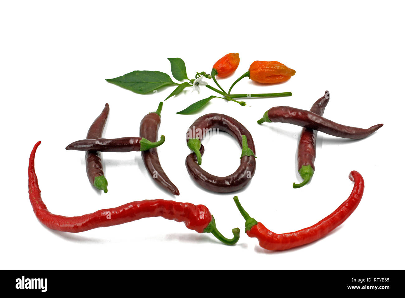 La parola Hot è scritto con peperoncino su sfondo bianco. Vista superiore del peperoncino lettere Foto Stock