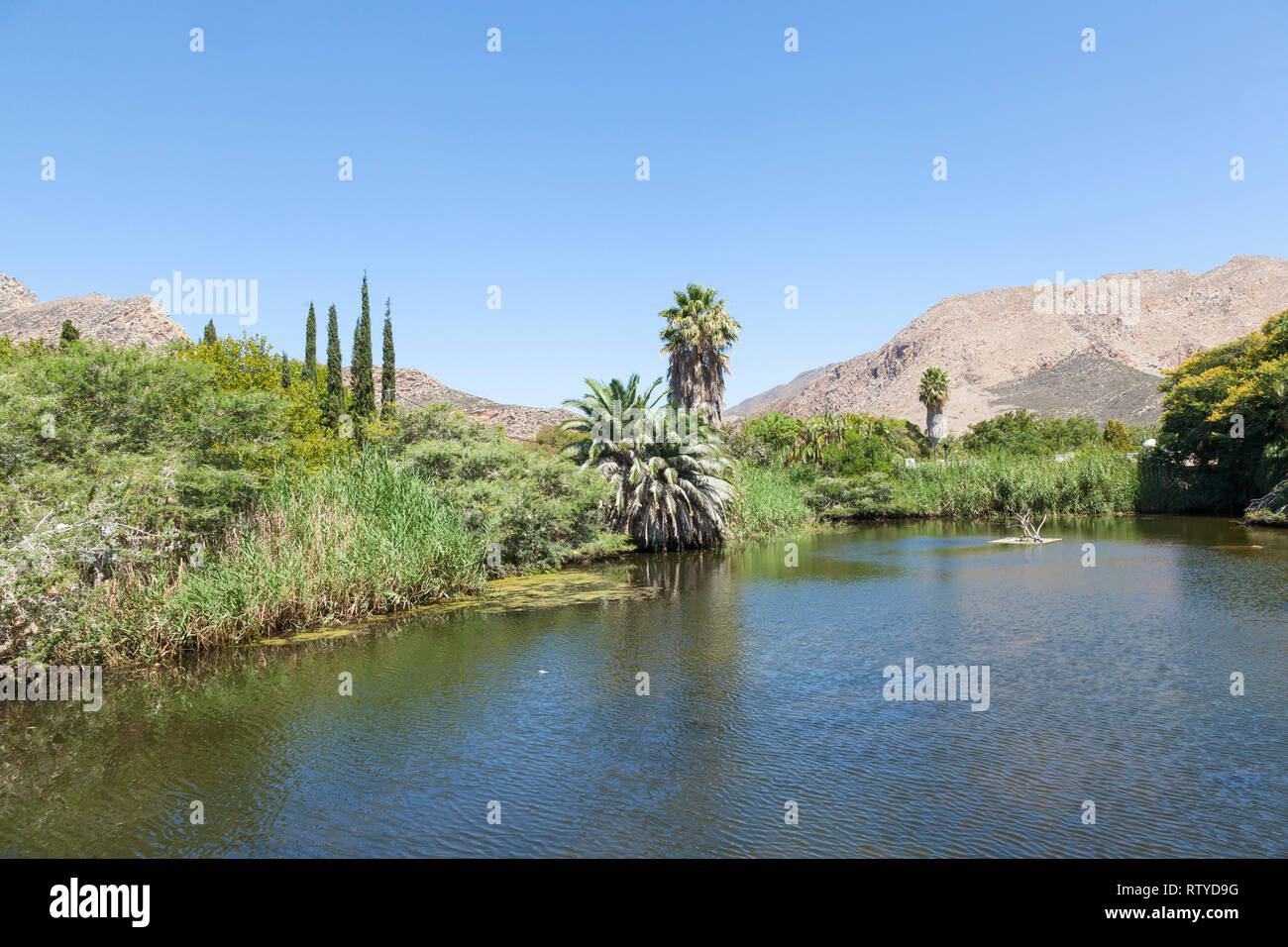 Il Leidam o Leiwaterdam (diga di irrigazione) Montagu, Western Cape, Sud Africa un naturale degli uccelli in volo libero santuario proprio nel centro della città Foto Stock