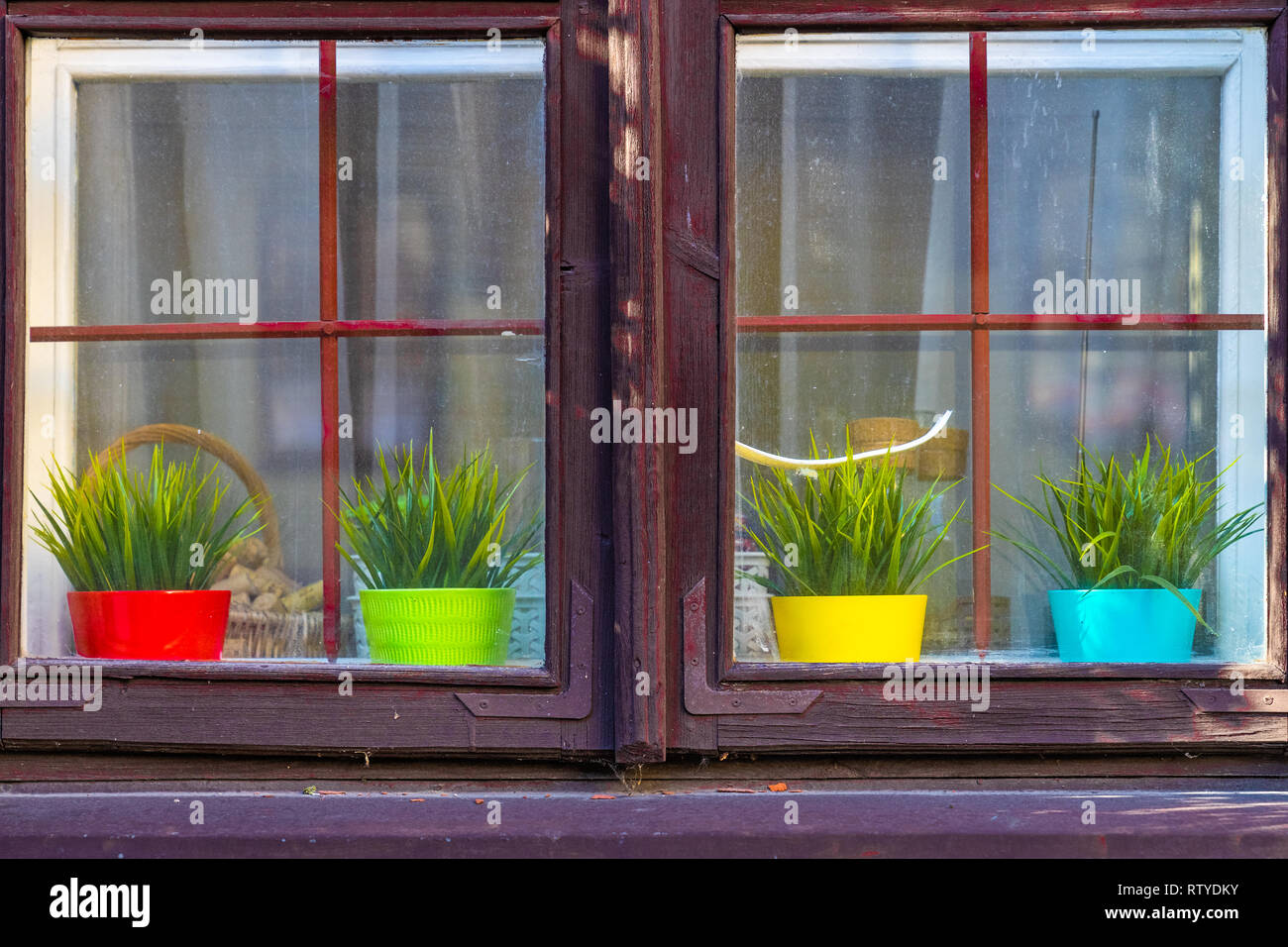 Soleggiato vecchia finestra in legno. Quattro di colore giallo, rosso, verde, blu dei vasi con le piante dietro il vetro sporco. Foto Stock