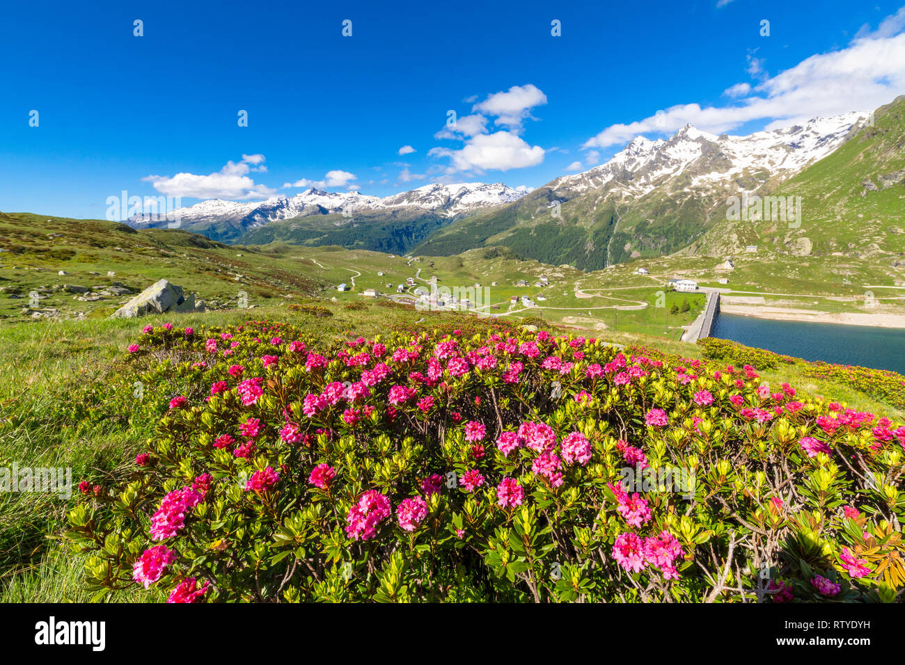 Valtellina News - notizie da Sondrio e provincia » Unesco, pizzi e merletti  lombardi