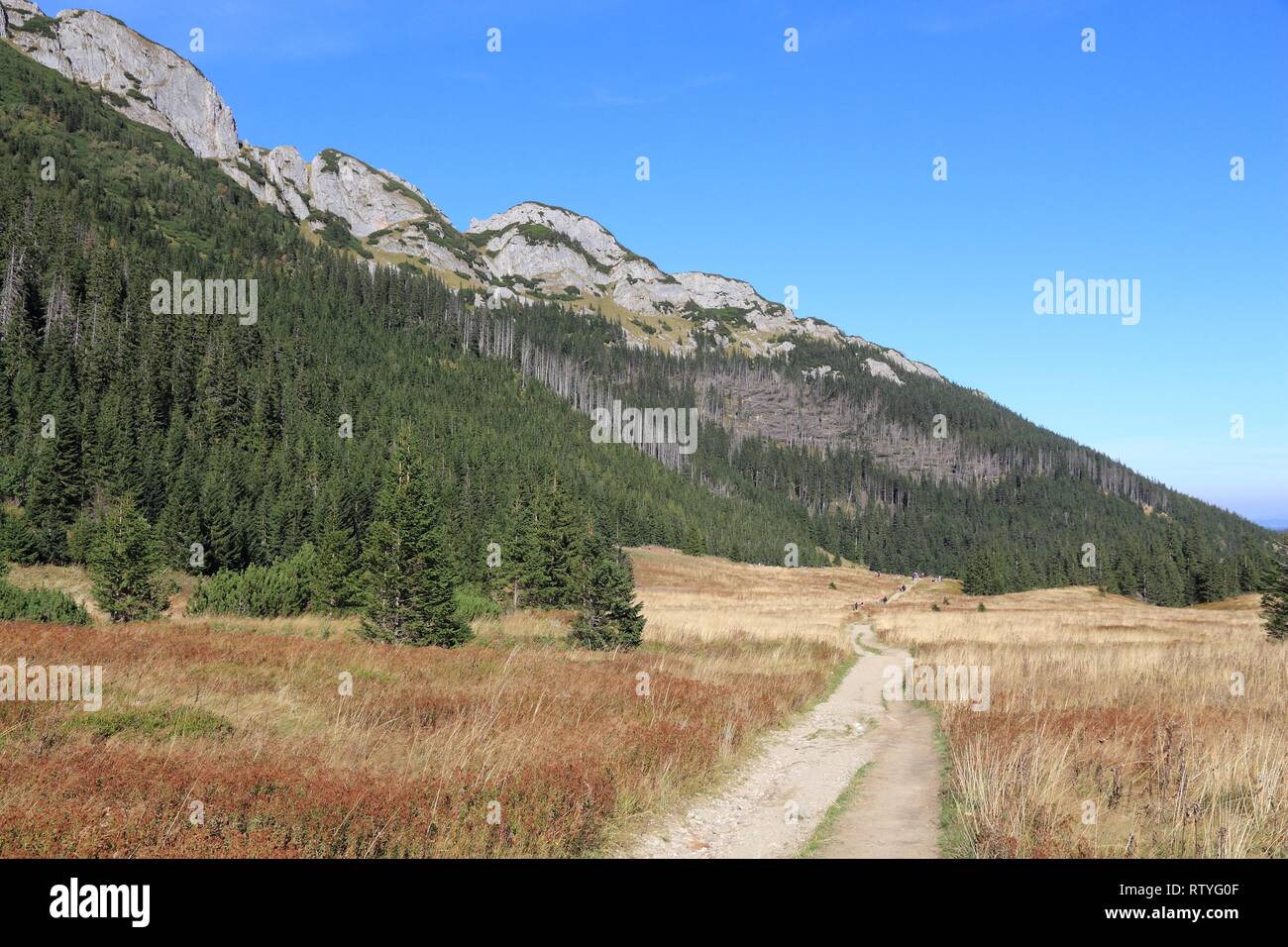 Le montagne in Polonia - Tatry National Park. Sentiero escursionistico a Czerwone Wierchy. Foto Stock