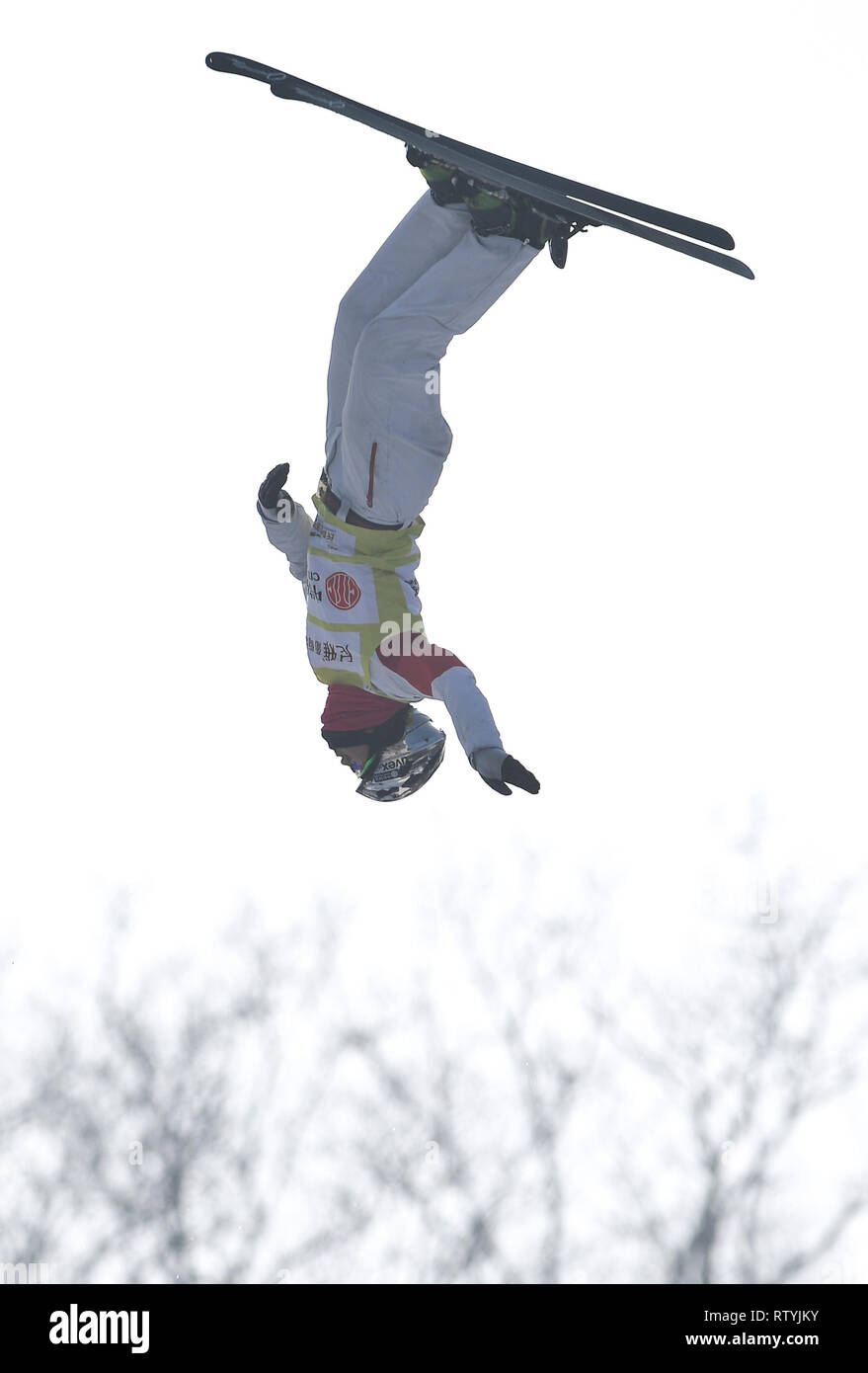 Changchun, la Cina della provincia di Jilin. 3 Mar, 2019. Wang Xindi della Cina compete durante le antenne del Team' finale del Freestyle FIS Coppa del Mondo di Sci 2019 a Shimao Monte Lotus e in Changchun, a nord-est della Cina di provincia di Jilin, 3 marzo 2019. Credito: Xu Chang/Xinhua/Alamy Live News Foto Stock