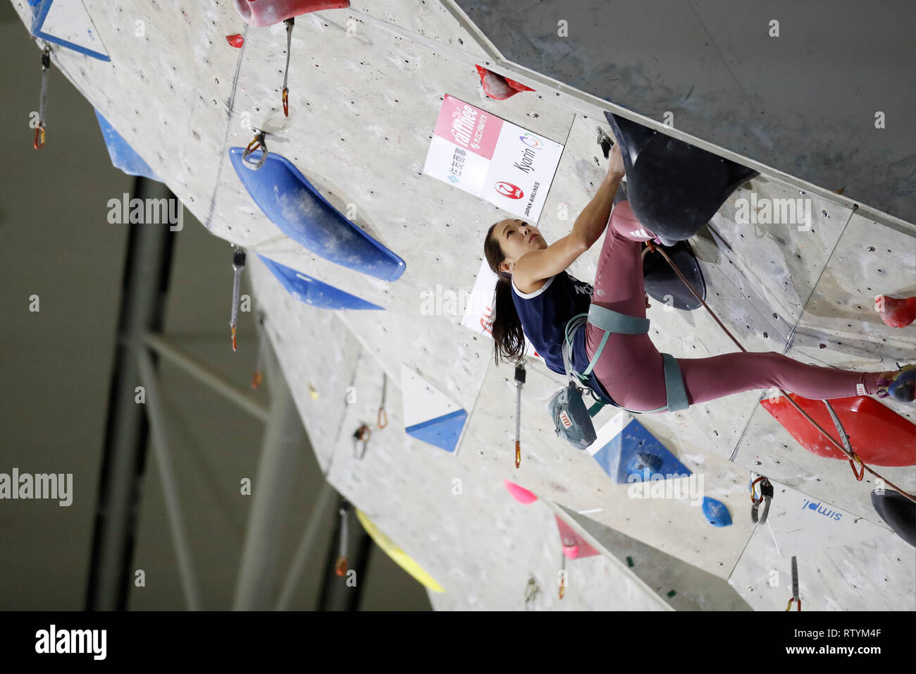 Inzai, Chiba, Giappone. 2 Mar, 2019. Akiyo Noguchi Arrampicata Sportiva : La trentaduesima Lead Japan Cup femminile alla qualificazione Matsuyamashita Park palestra in Inzai, Chiba, Giappone . Credito: Naoki Morita AFLO/sport/Alamy Live News Foto Stock