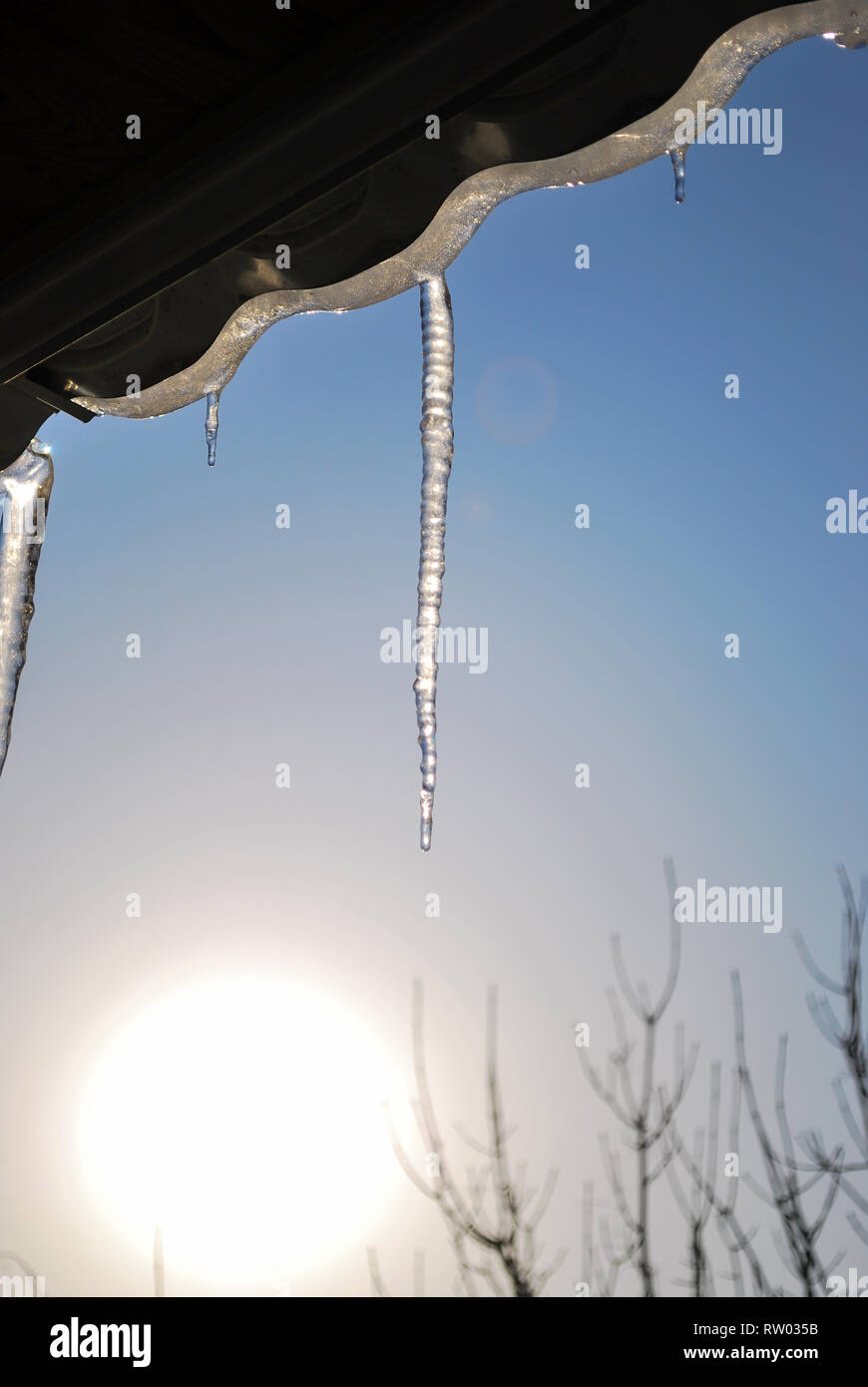 Ghiaccioli sospesi dal tetto sotto i raggi del sole contro il blu cielo chiaro Foto Stock