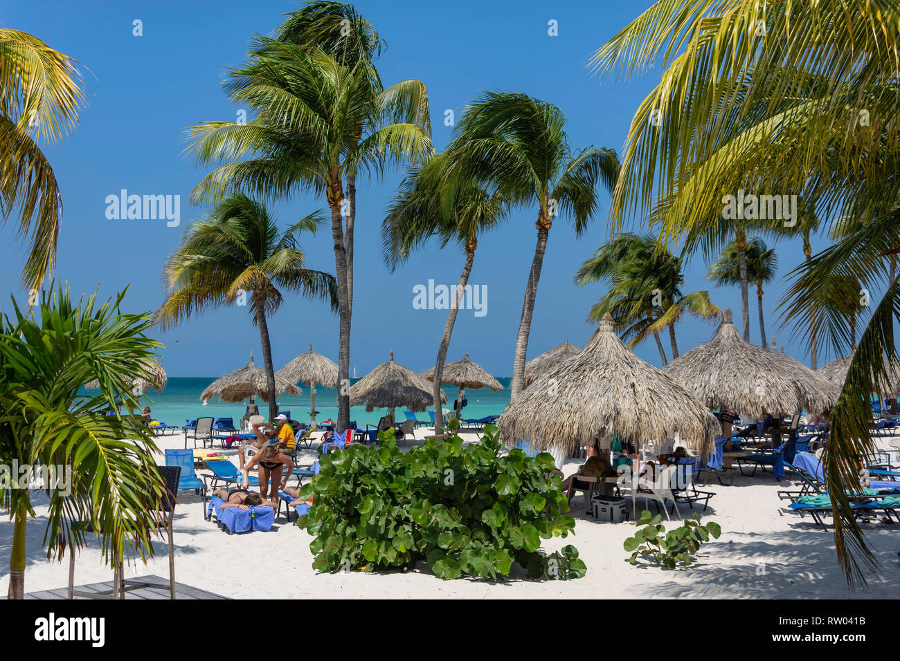 Ombrelloni di paglia su Palm Beach, Noord District, Aruba, Isole ABC, Leeward Antilles, dei Caraibi Foto Stock