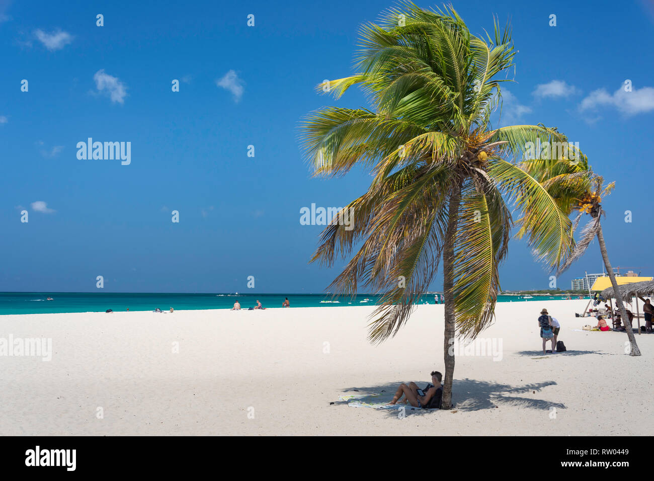 Tropical Beach, Eagle Beach, Distretto di Oranjestad, Aruba, Isole ABC, Leeward Antilles, dei Caraibi Foto Stock