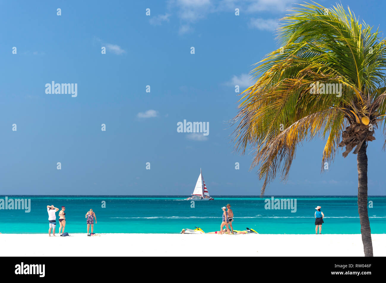 Spiaggia scena, Eagle Beach, Distretto di Oranjestad, Aruba, Isole ABC, Leeward Antilles, dei Caraibi Foto Stock