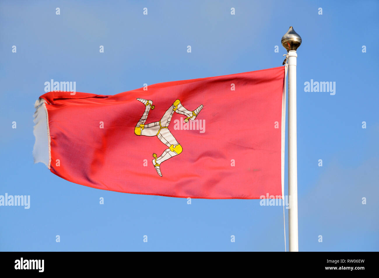 L'isola della bandiera a Douglas sull' Isola di Man, Gran Bretagna. Le tre gambe di blindati con golden spurs visualizzato sulla parete è utilizzato su l'isola di fl Foto Stock
