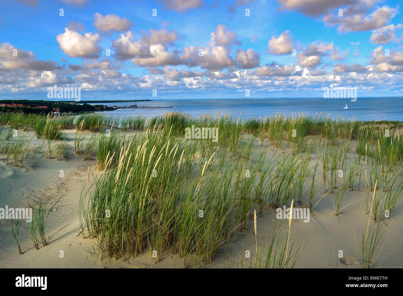 Dune di sabbia sulla costa del Mar Baltico in Nida. La lituania Foto Stock