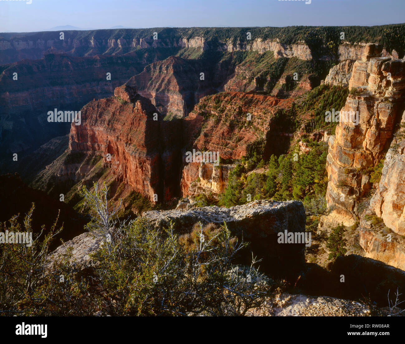 Stati Uniti d'America, Arizona Grand Canyon National Park, North Rim, vista sud dal punto Imperial verso il canyon in profondità e con sommità piatta Walhalla altopiano. Foto Stock