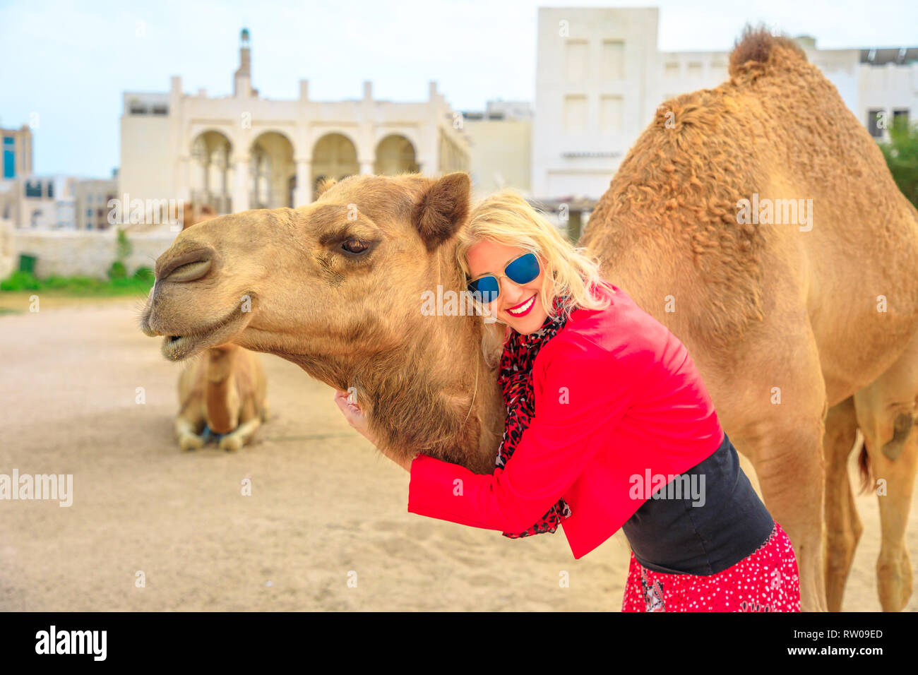 Felice donna bionda abbraccia un cammello a Doha city center, vicino Souq Waqif, il vecchio mercato, turistica molto popolare in Al Souq District, in Qatar. Caucasian Foto Stock