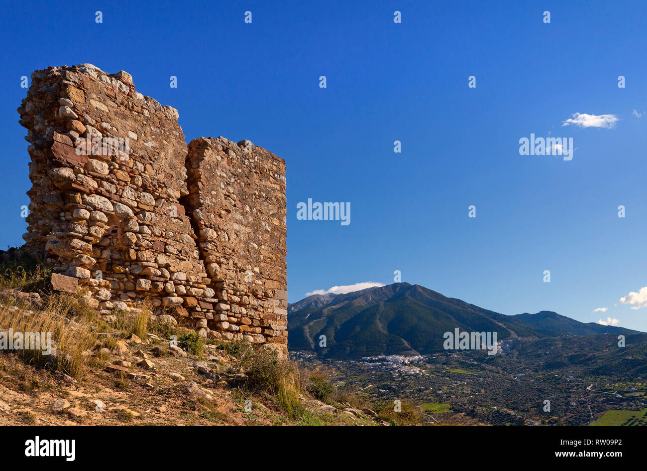 Il castello in rovina di Zalia o Zalía era una fortezza situato nel comune di Alcaucín , nella provincia di Malaga, Andalusia. Il castello io Foto Stock