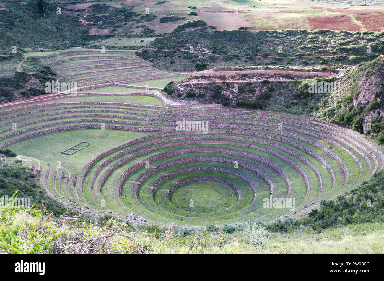 Terrazzamenti agricoli della Valle Sacra. Moray in Cusco e Valle Sacra, Perù Foto Stock