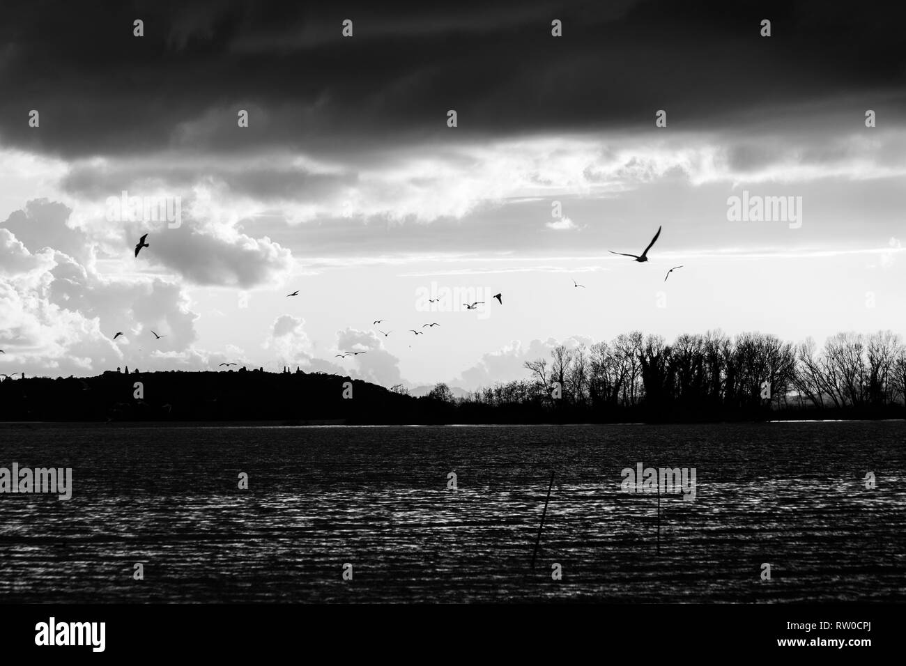 Uccelli in volo sul lago Trasimeno Foto Stock