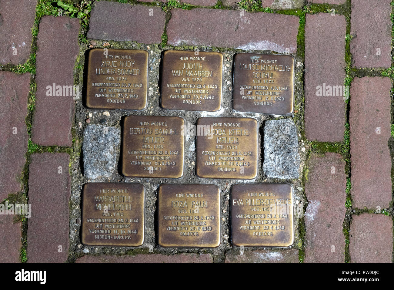 Paesi Bassi, Gouda, 2017, pietre di inciampo o stolpersteine memorial sono piastre di ottone posto nella pavimentazione al di fuori di certe case o la deportazione Foto Stock