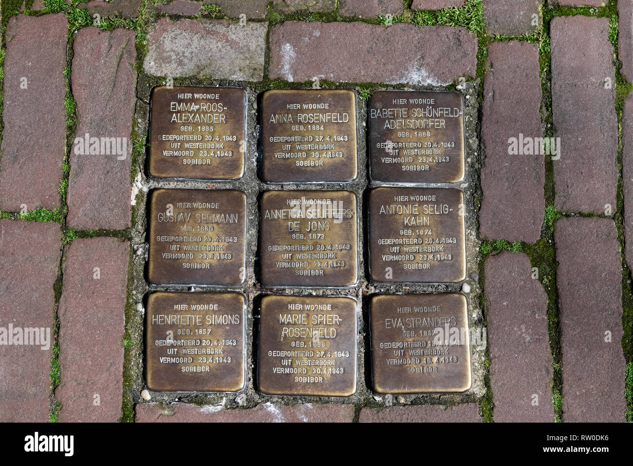Paesi Bassi, Gouda, 2017, pietre di inciampo o stolpersteine memorial sono piastre di ottone posto nella pavimentazione al di fuori di certe case o la deportazione Foto Stock