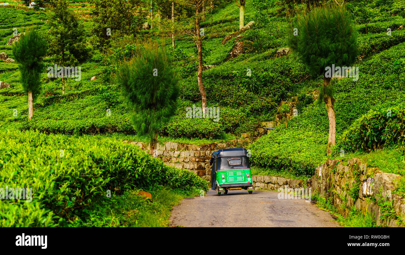 Vista sulle red Tuk Tuk sulla strada per la piantagione di tè in Haputale, Sri Lanka Foto Stock