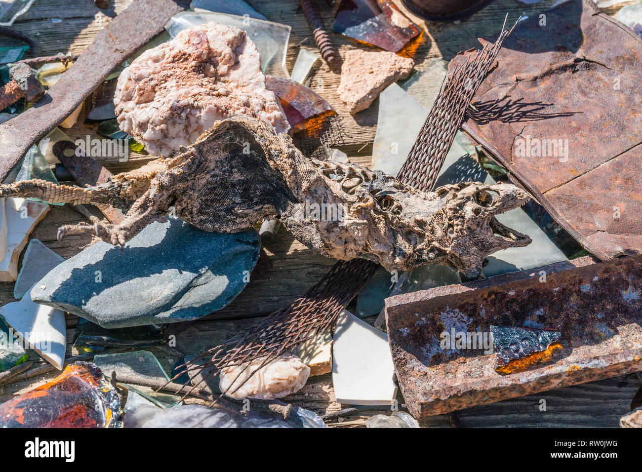 I resti di un tempo morto lizard tra pezzi casuali di indesiderata dalla miniera di Inyo. La miniera di Inyo ruderi furono una parte della Echo-Lee distretto minerario loca Foto Stock