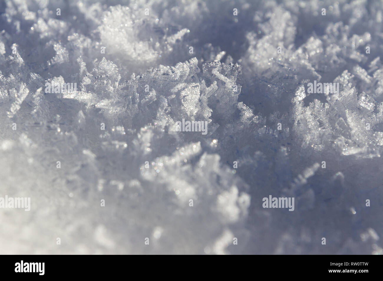 Close up di neve fresca in davvero basse temperature formata in lunghi cristalli di ghiaccio con bei modelli Foto Stock