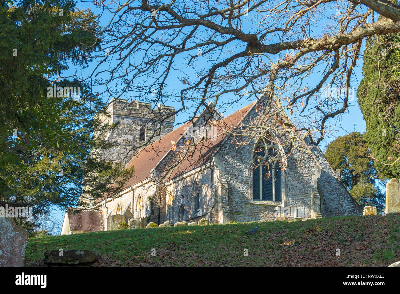 La Chiesa di San Giorgio, Crowhurst, East Sussex, Regno Unito. Posizione di un famoso e antico albero di Yew, ripetutamente oltre mille anni. Foto Stock