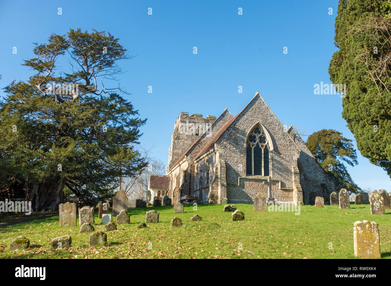 La Chiesa di San Giorgio, Crowhurst, East Sussex, Regno Unito con un famoso e antico albero di Yew, ripetutamente su una vecchia di 1000 anni, si vede sulla sinistra della foto. Foto Stock