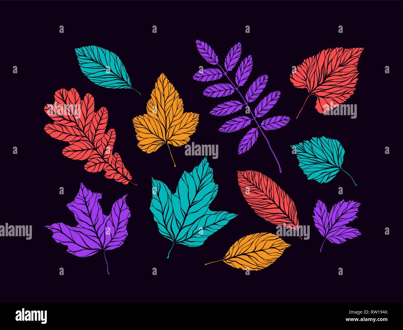 Autunno foglie decorative set. Concetto di natura. Illustrazione Vettoriale Illustrazione Vettoriale