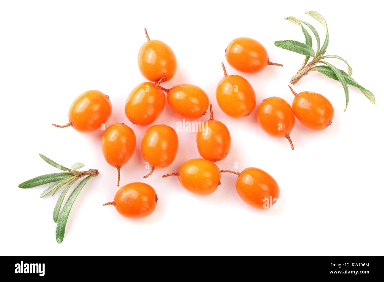 Bacche di olivello spinoso. Fresco di frutti di bosco maturi con foglie isolati su sfondo bianco. Vista dall'alto. Piatto modello di laici. Foto Stock