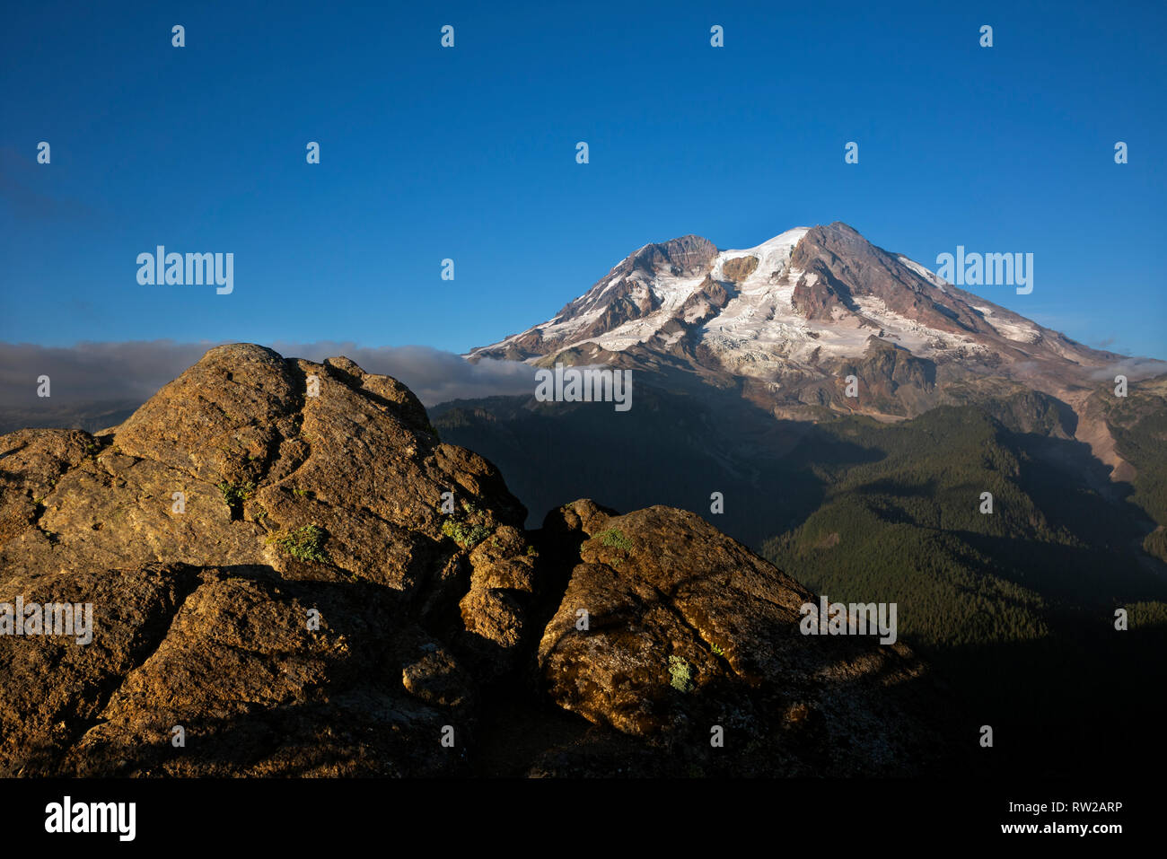 WA15861-00...WASHINGTON - rocce vicino al vertice di Gobblers manopola e il Monte Rainier in Mount Rainier National Park. Foto Stock