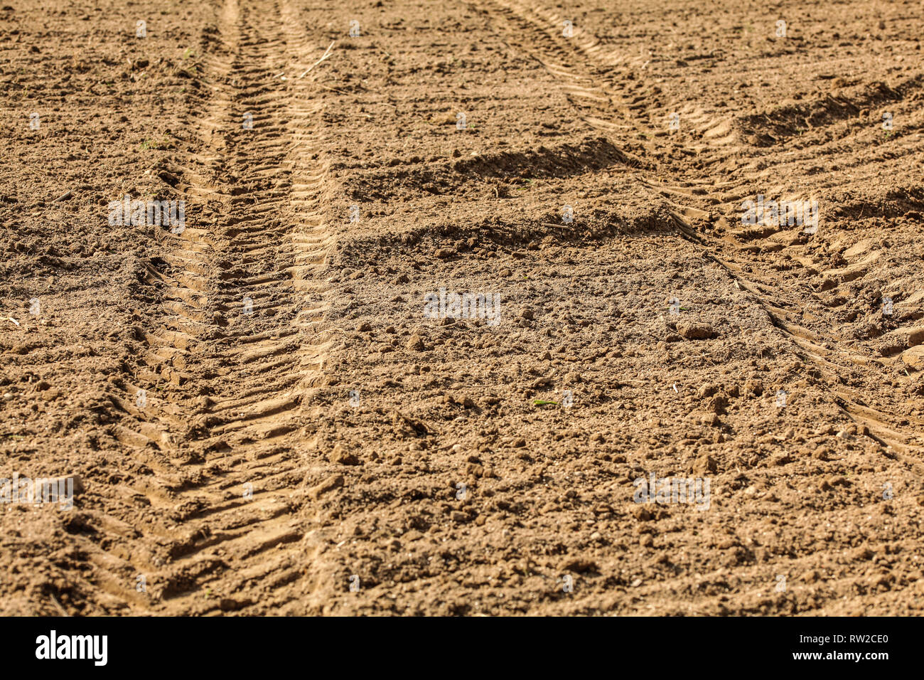 Veicolo pesante (trattore) pneumatico via stampa nel campo secco, illuminato dal sole. Foto Stock