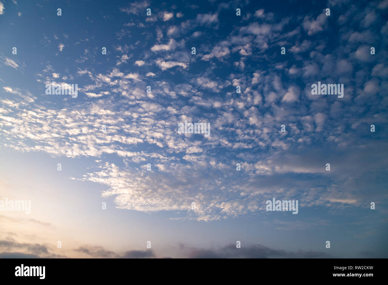 Bianco, luminose, soffici e nubi sparse con cielo blu Foto Stock