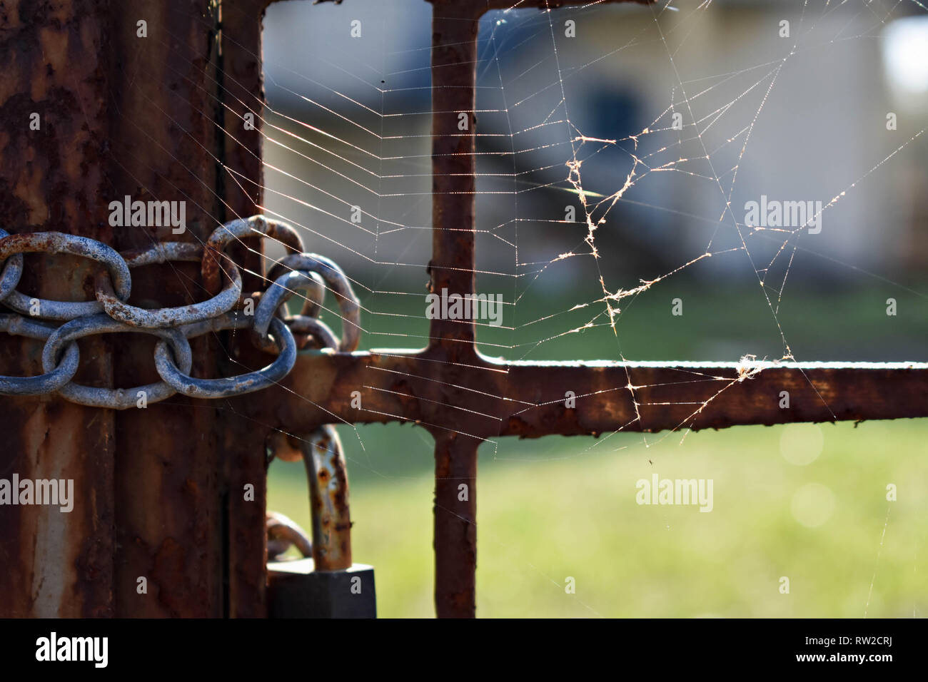 Primo piano di un vecchio abbandonato porta con un ferro arrugginito serratura della porta e una spider web - Immagine Foto Stock