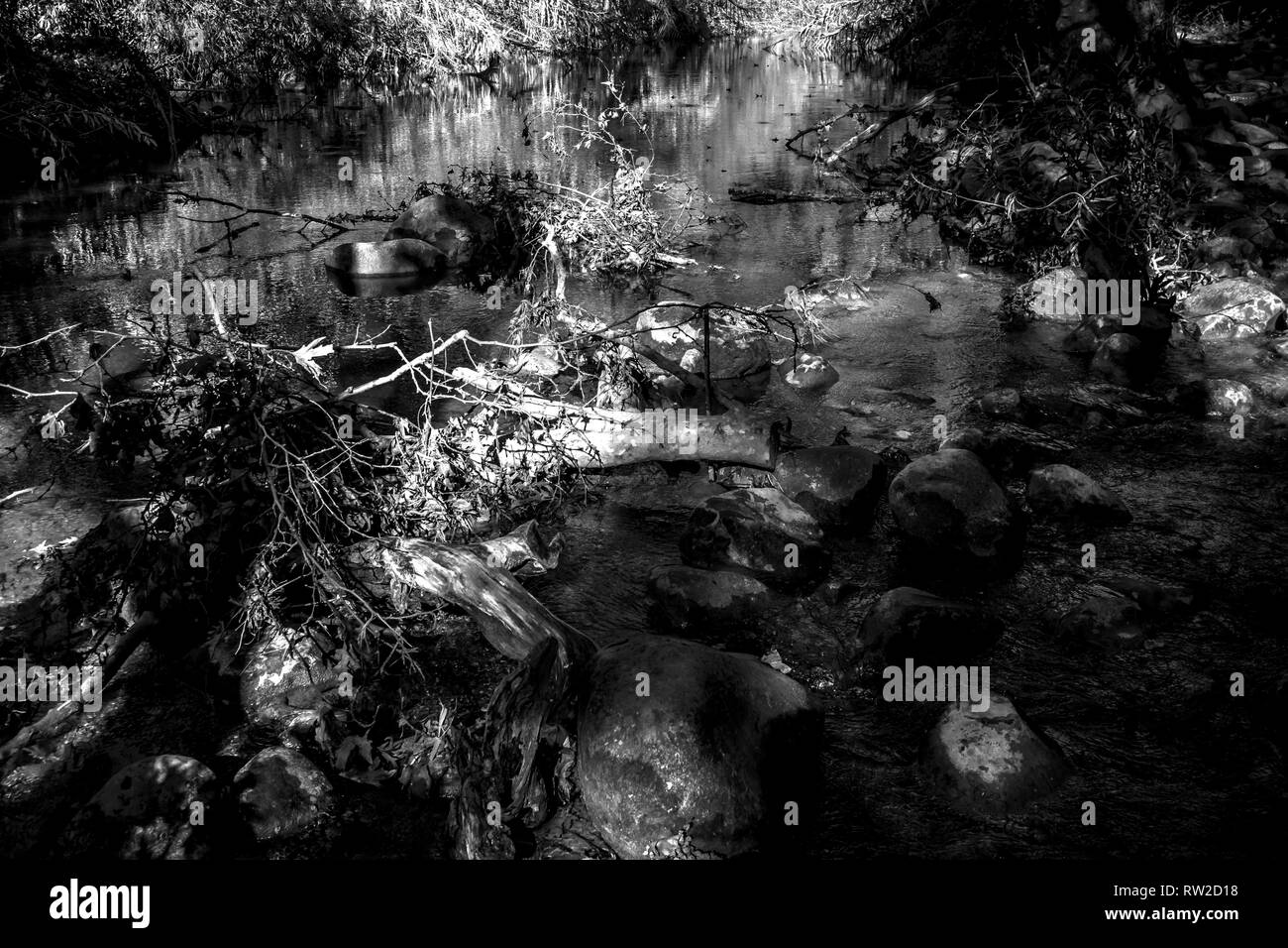 Bianco e nero paesaggio del fiume Snir riserva naturale, Israele Foto Stock