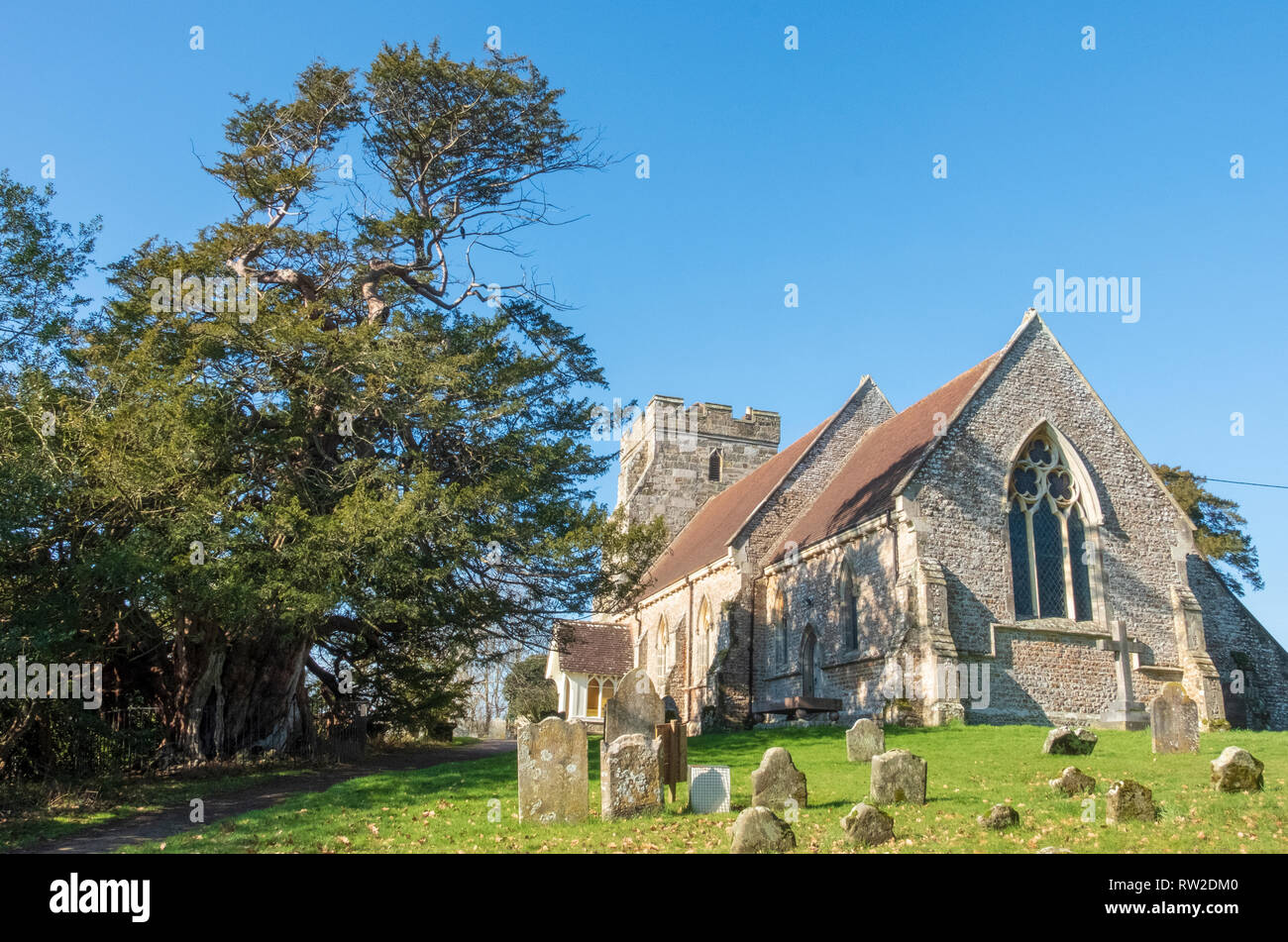 La Chiesa di San Giorgio, Crowhurst, East Sussex, Regno Unito con un famoso e antico albero di Yew, ripetutamente ben oltre 1000 anni, si vede sulla sinistra della foto. Foto Stock