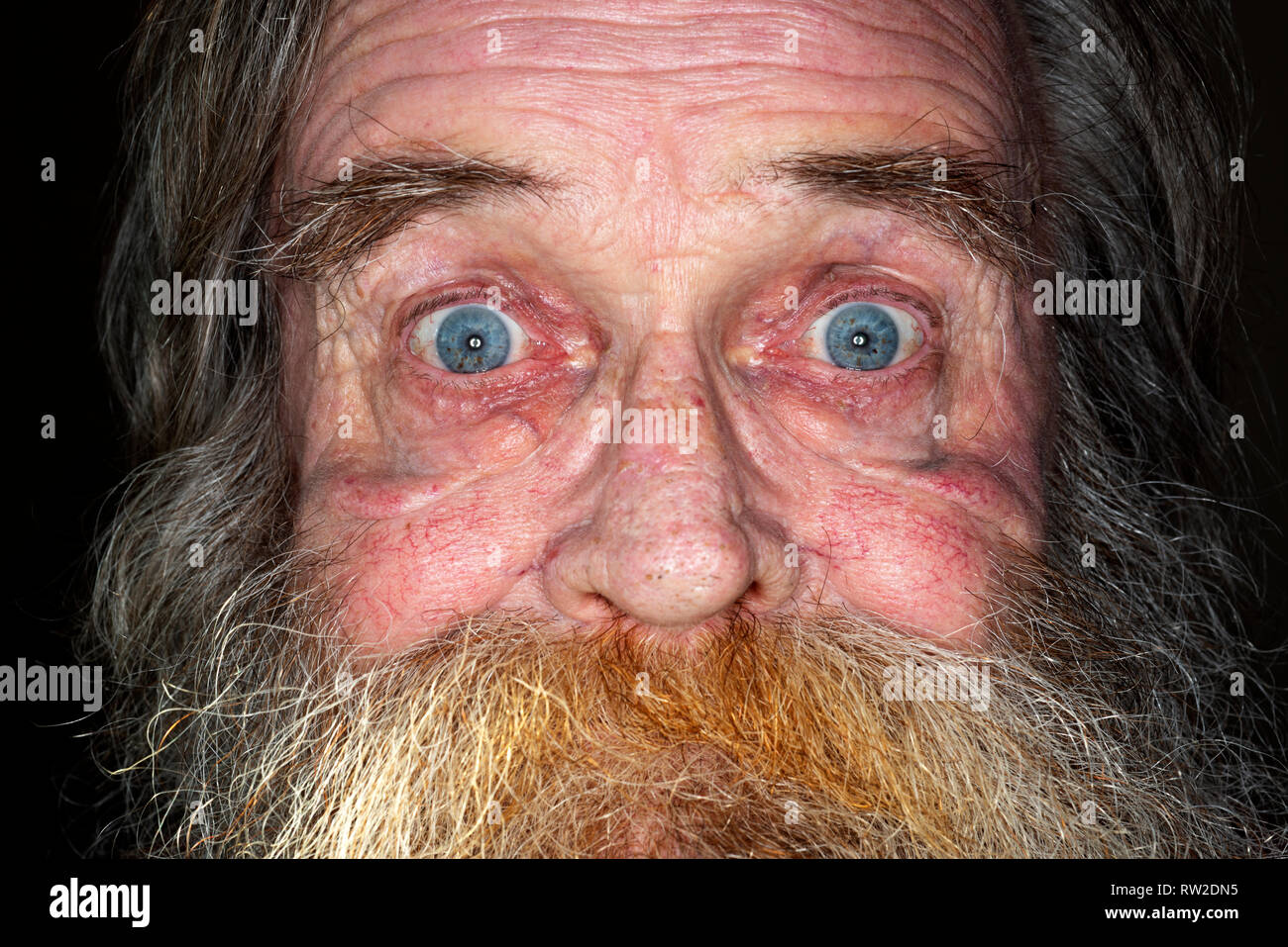 Uomo anziano con barba grigia Foto Stock