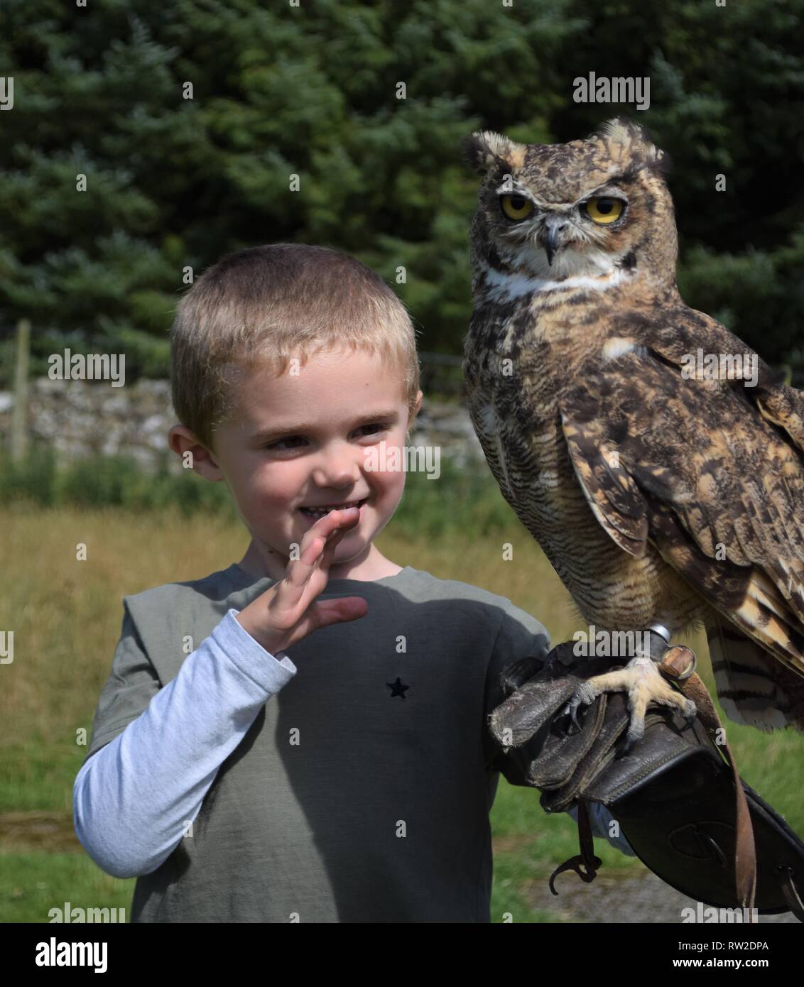 Ragazzo giovane azienda un gufo Foto Stock