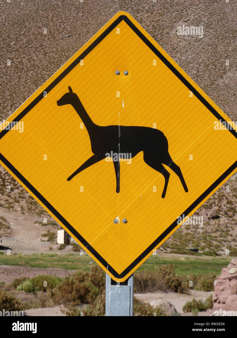 Llama avvertenza cartello stradale in Cile 2019 Foto Stock