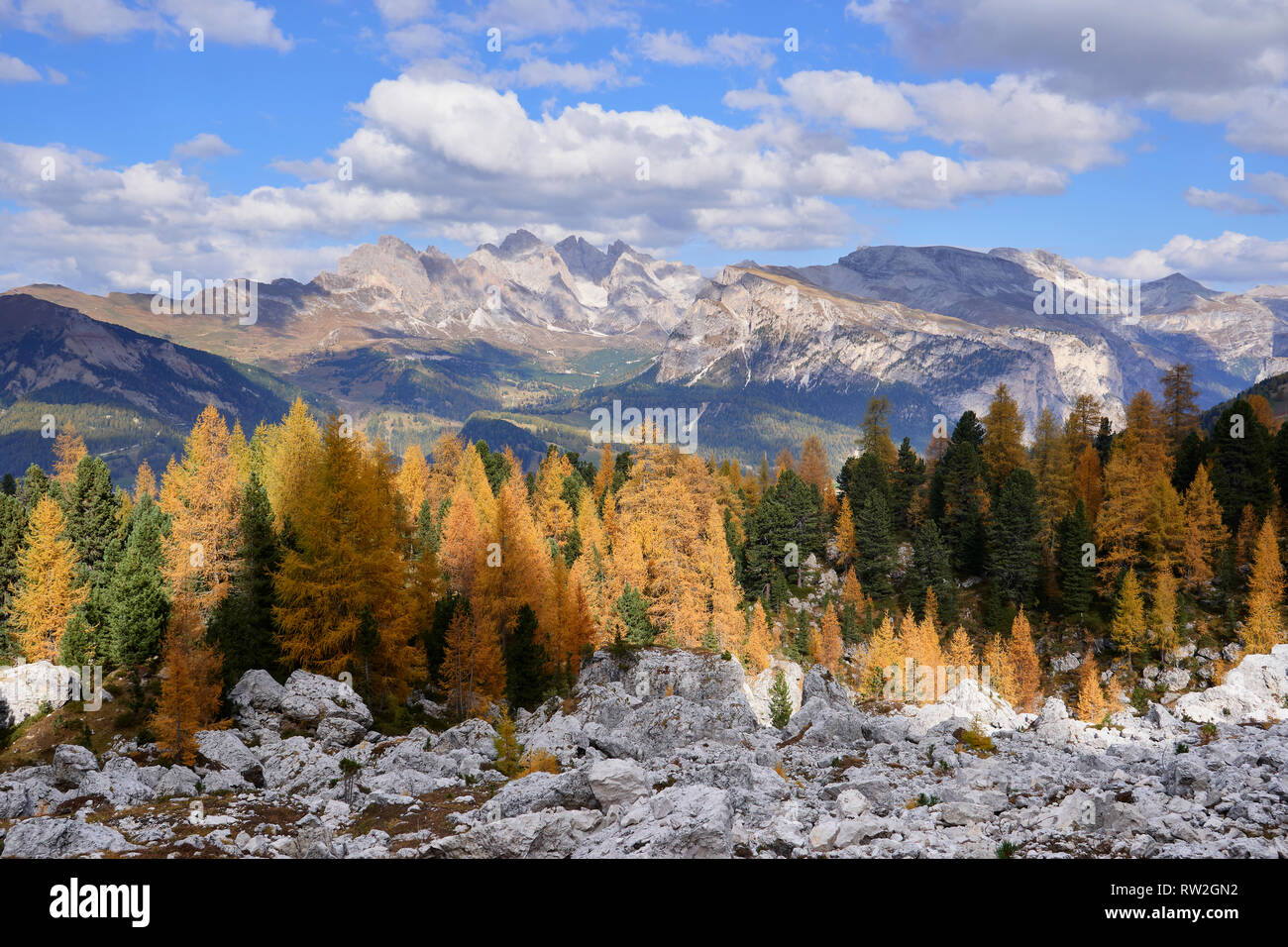 Gruppo delle Odle, Dolomiti, Alto Adige, Italia. In autunno i larici Foto Stock