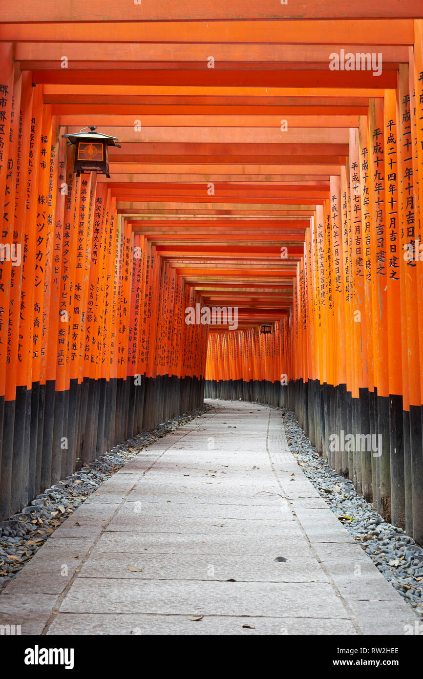 Fushimi Inari Santuario è un importante santuario scintoista nel sud di Kyoto. È famoso per le sue migliaia di rosso torii gates. Kyoto, Giappone. Foto Stock