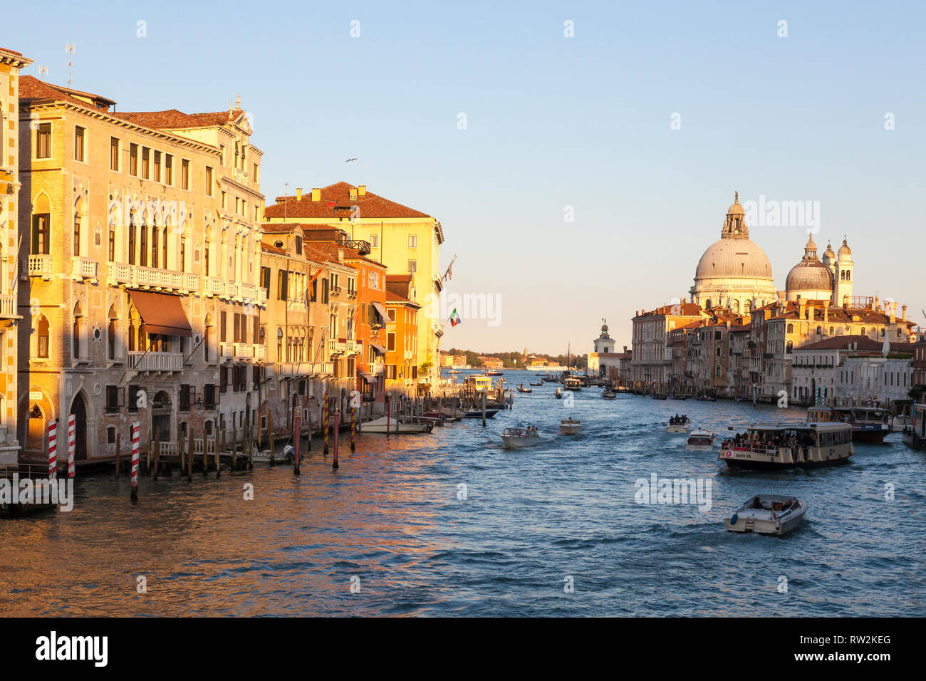Golden Sunset sul Canal Grande e la Basilica di Santa Maria della Salute, Venezia, Veneto, Italia con traffico nautico e riflessi sull'acqua Foto Stock